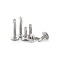 410 Stainless Steel Truss Head Self Drilling Screw - China Factory