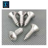 DIN7983 Stainless Steel Phillips Oval Head Tapping Screw