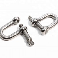 AISI304 Stainless Steel D Shackle 12MM