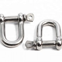 AISI201 Stainless Steel D Shackle 14MM